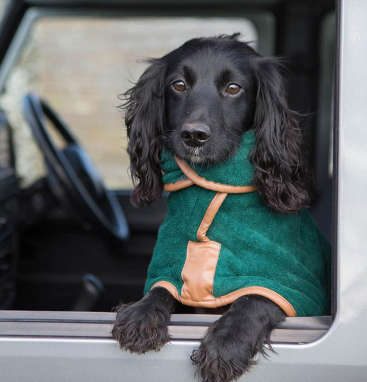 Why Your Pet Deserves the Best: Introducing the Pet Quick-Drying Absorbent Clothes Towel