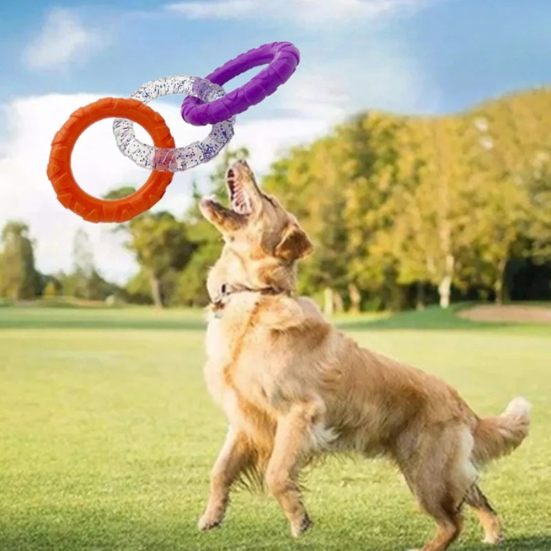 Discover the Joy of Playtime with Our Floating Flying Disc Interactive Pet Chew Toy