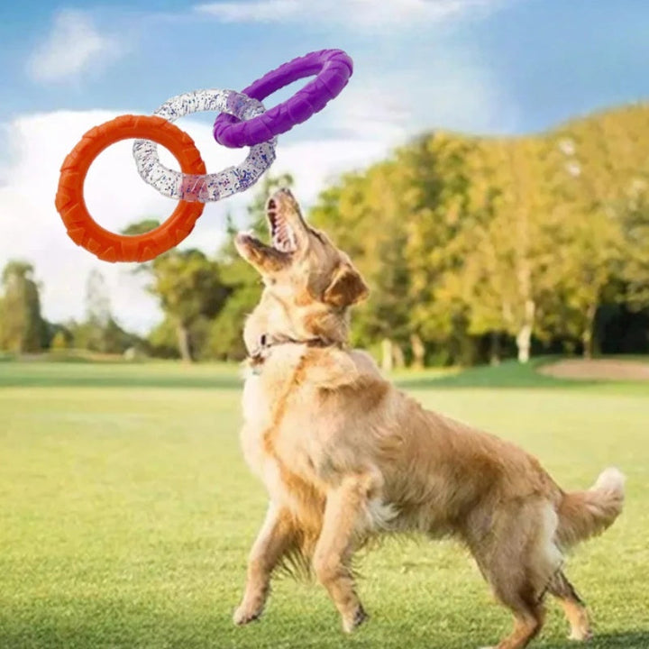 Discover the Joy of Playtime with Our Floating Flying Disc Interactive Pet Chew Toy