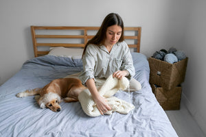 Creating Comfort with the Perfect Pet Bed