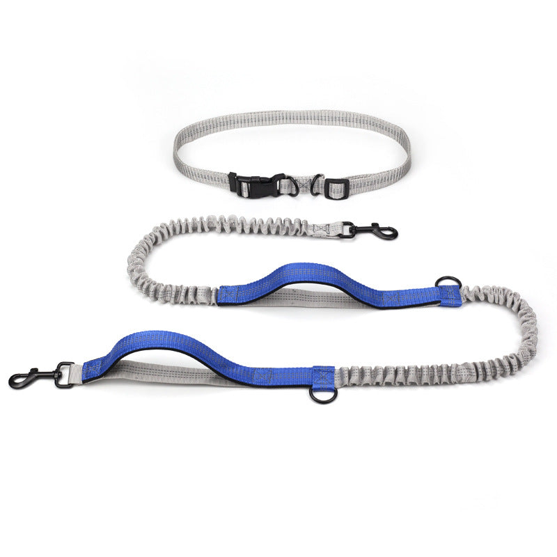 Multifunctional Running Reflective Double Telescopic Pet Leash Lead Rope Chain