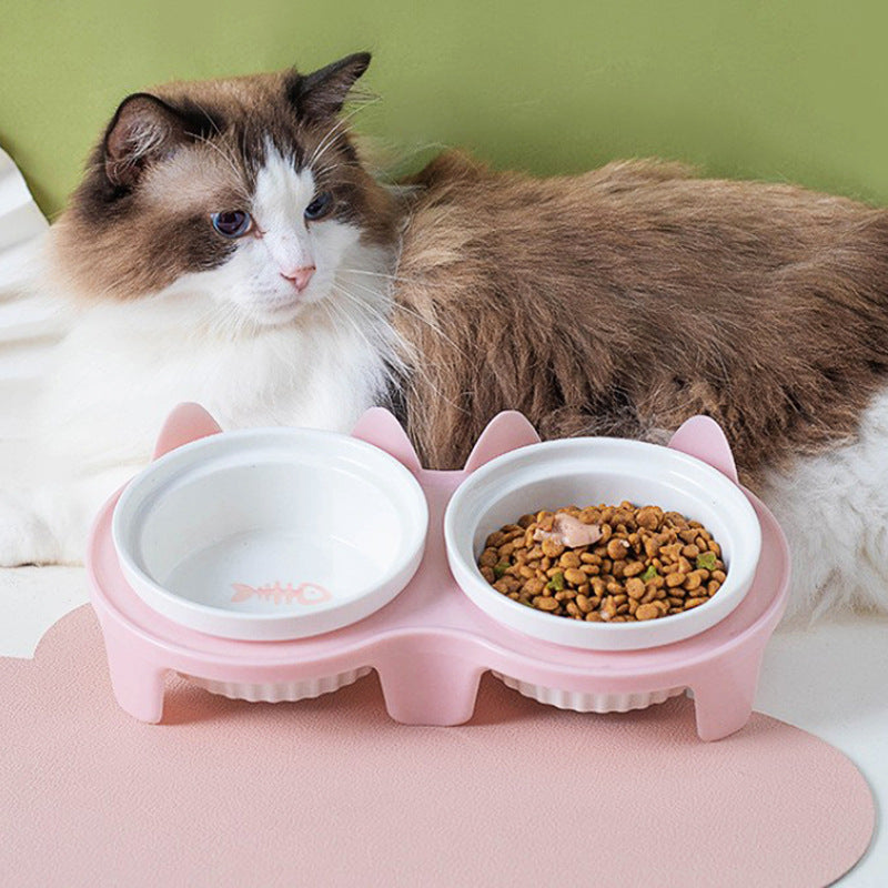 Ceramic Double Raised Pet Bowl Angled Feeding Stand