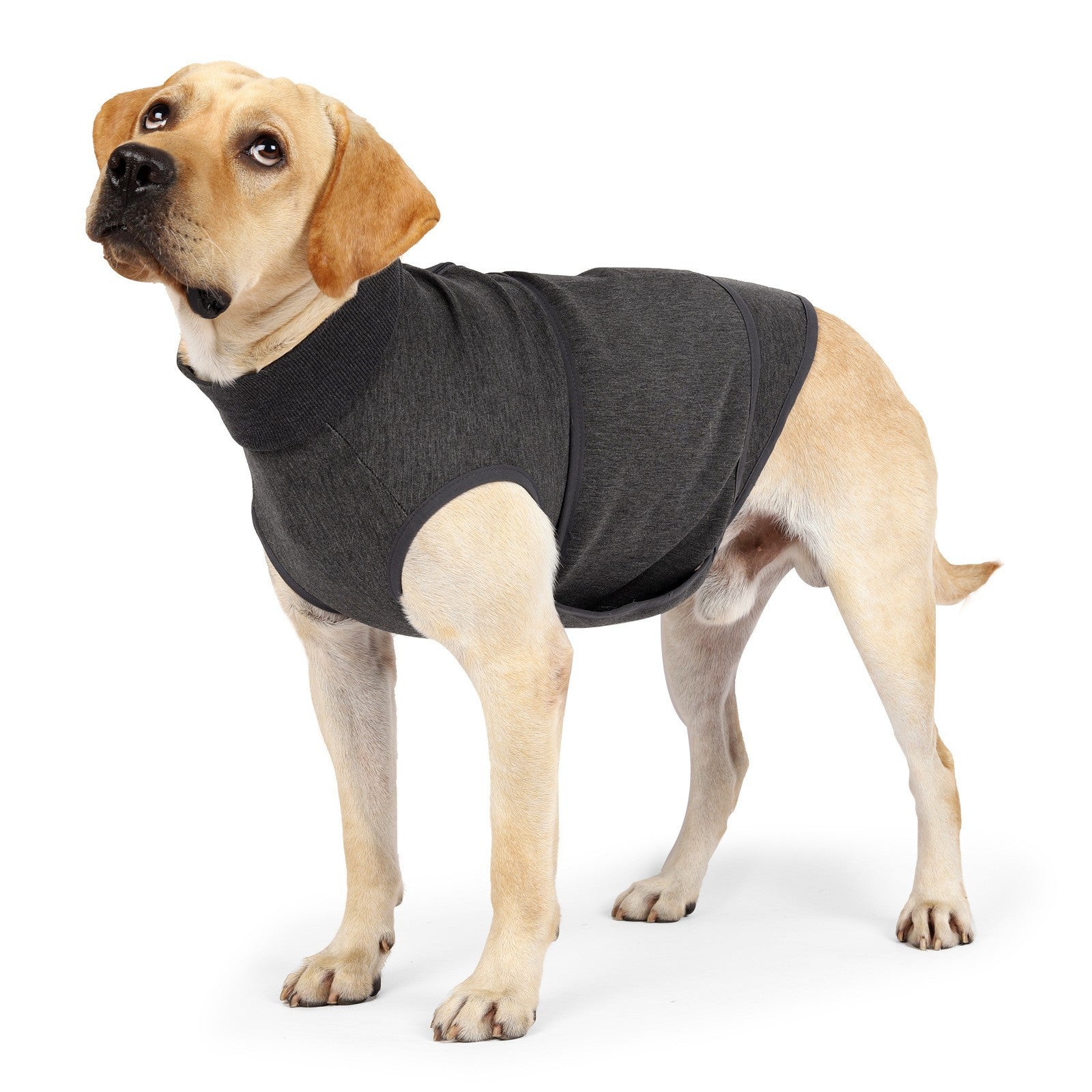Polyester Comfort Cotton Double Layer Pet Jacket Apparel