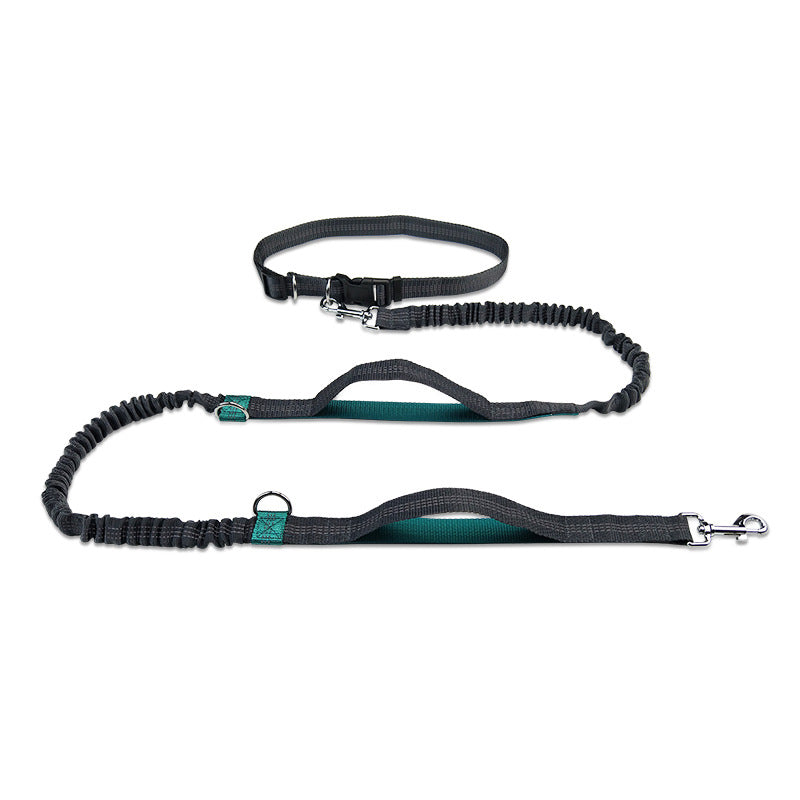 Multifunctional Running Reflective Double Telescopic Pet Leash Lead Rope Chain