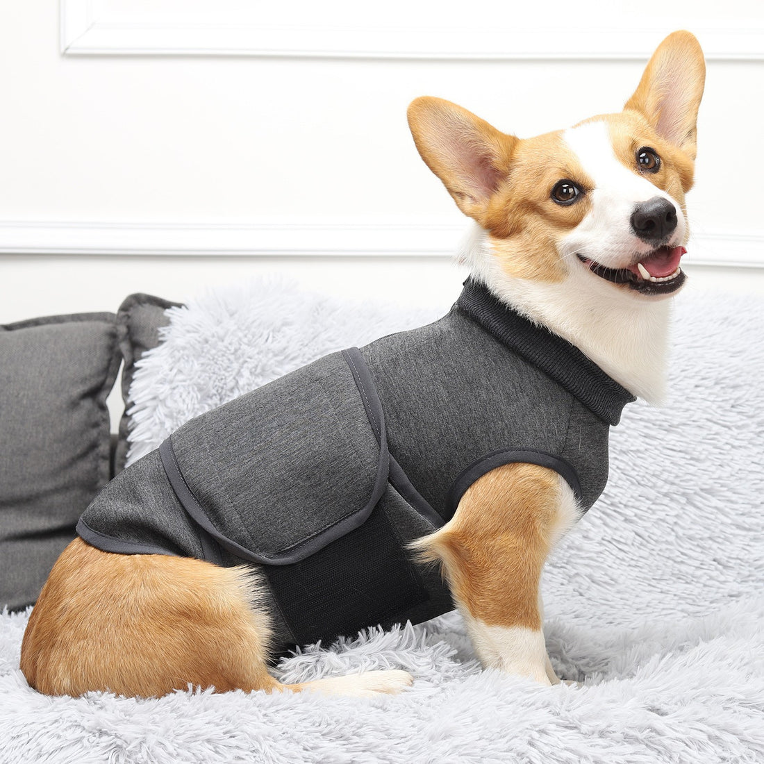 Polyester Comfort Cotton Double Layer Pet Jacket Apparel