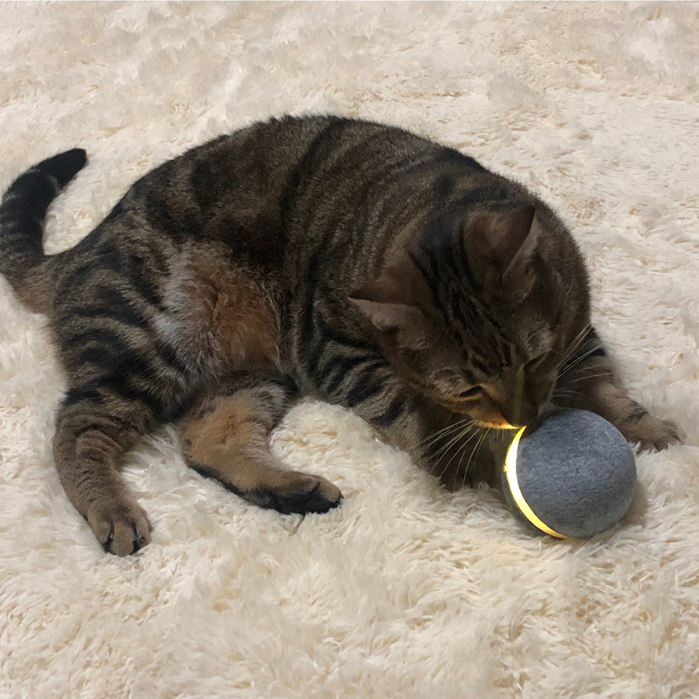 Interactive Bouncing Ball Pet Toy
