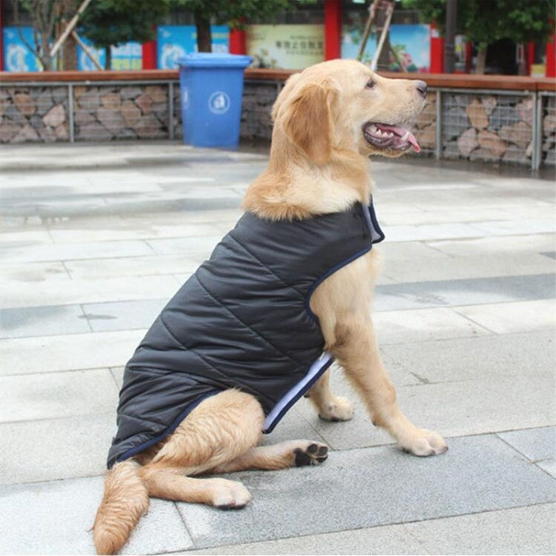 Winter Cotton Coat Warm Pet Apparel Jacket