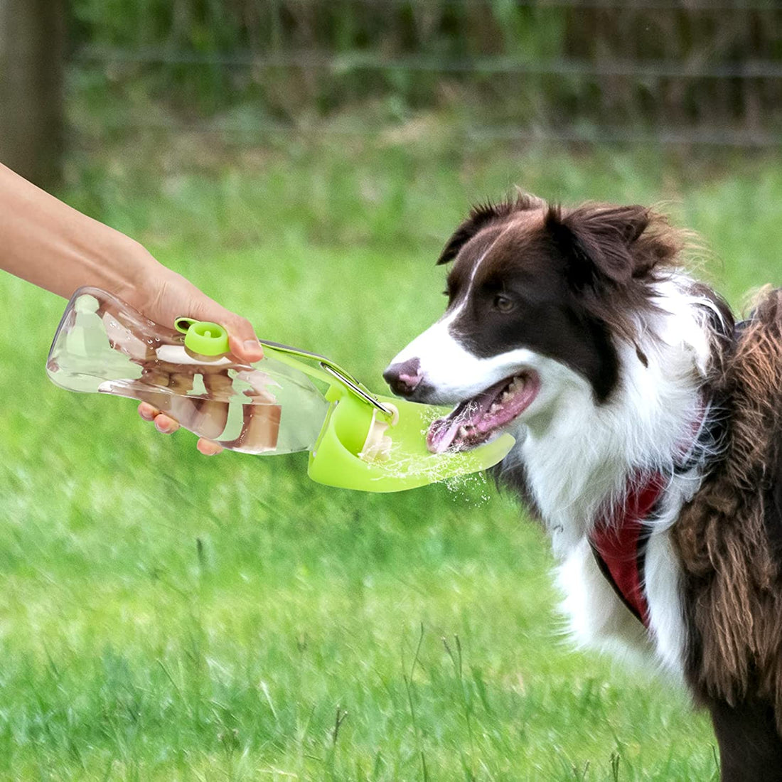 Portable Leak Proof Pet Water Dispenser Bowl Bottle