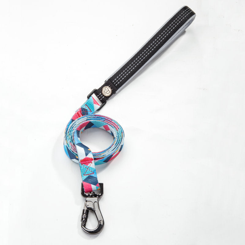 Pet Walking Leash Durable Everyday Control Lead
