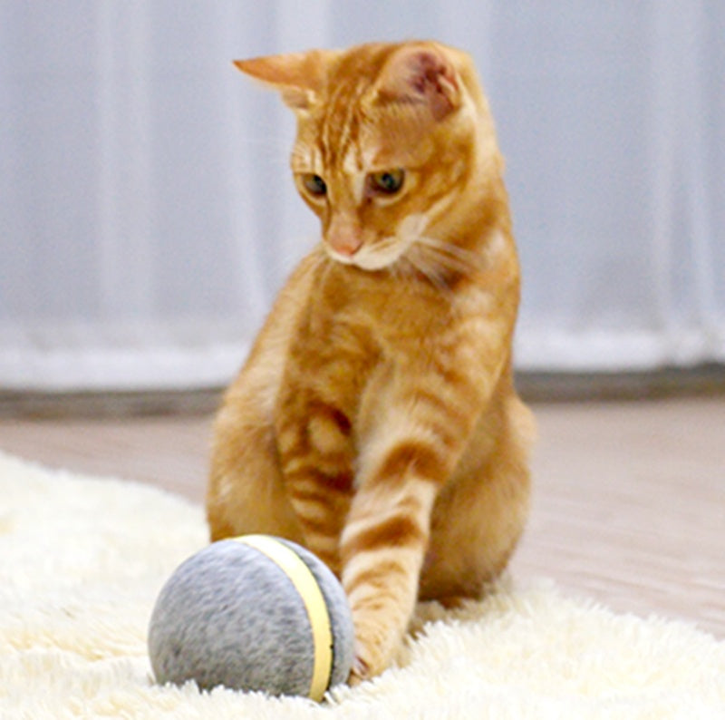 Interactive Bouncing Ball Pet Toy