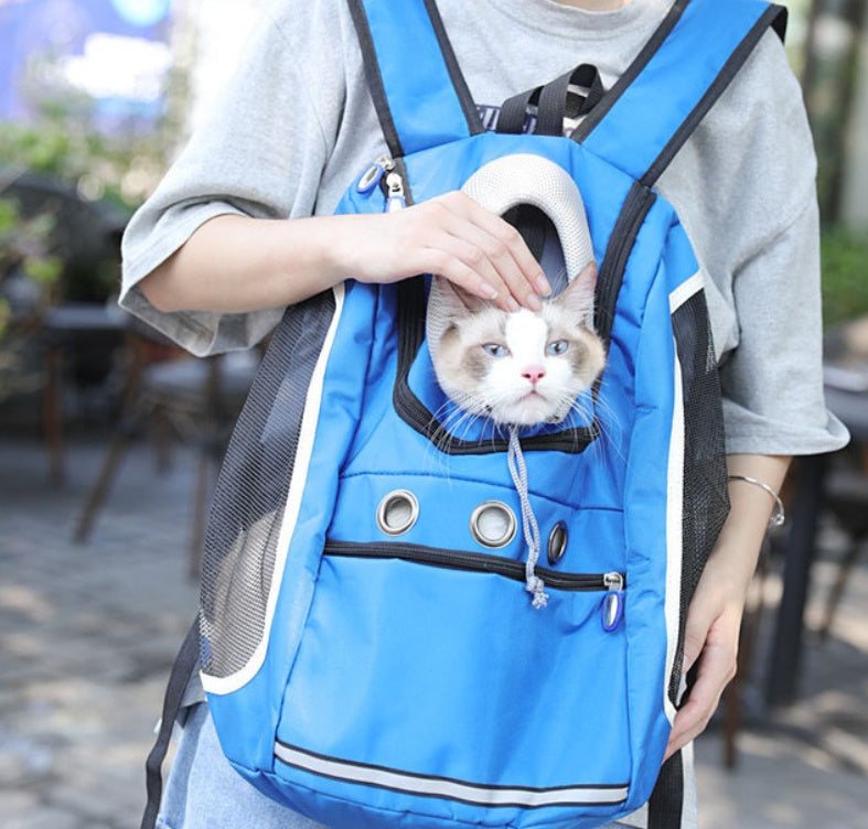 Portable Pet Outing Backpack Carry Bag