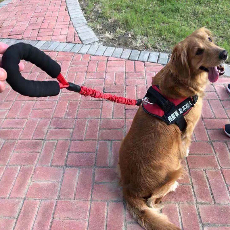 Explosion Proof Elastic Retractable Pet Leash Rope