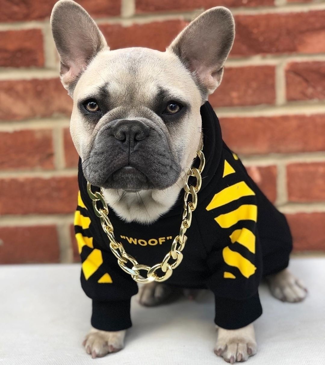 Three Stripe Fashion Pet Sweater Autumn Winter Apparel