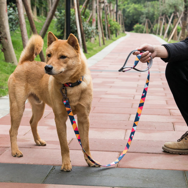Pet Walking Leash Durable Everyday Control Lead