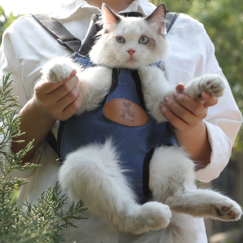 Portable Spring Outing Pet Backpack Carrier