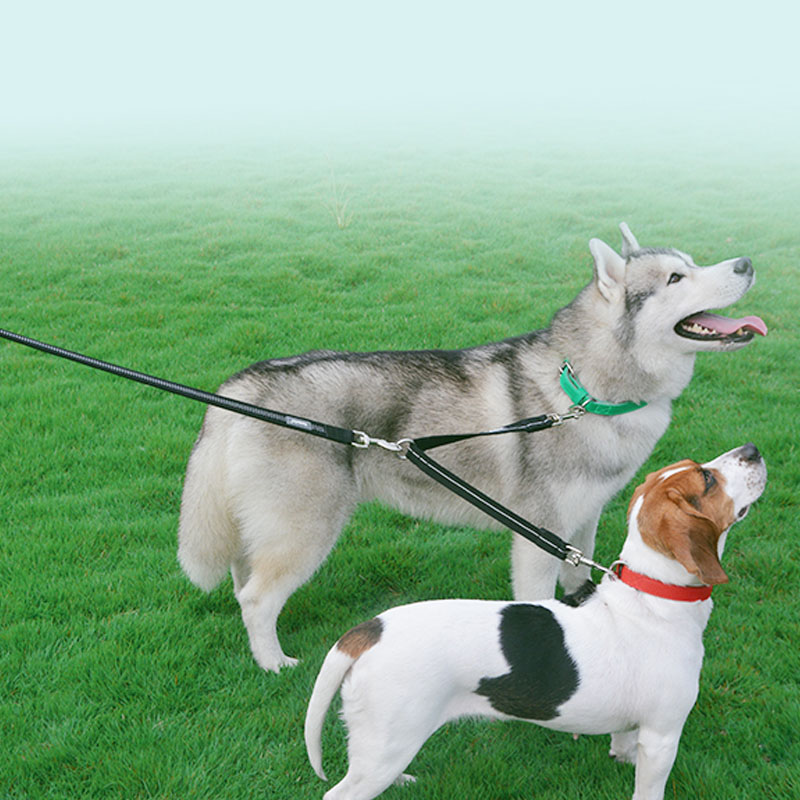 Double Head Nylon Reflective Pet Leash Lead Rope