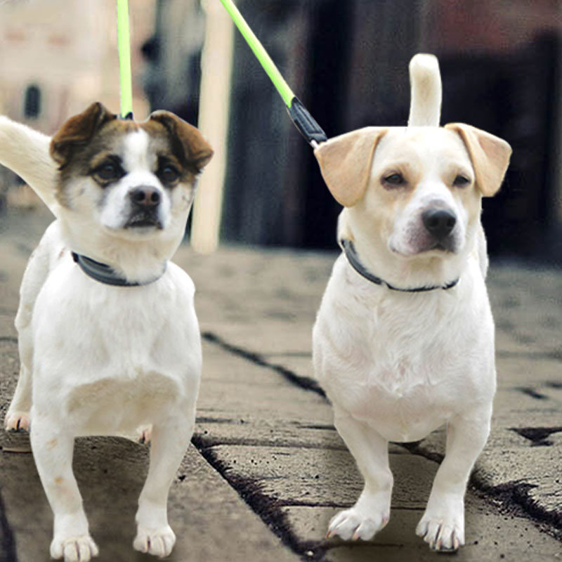 Double Head Nylon Reflective Pet Leash Lead Rope