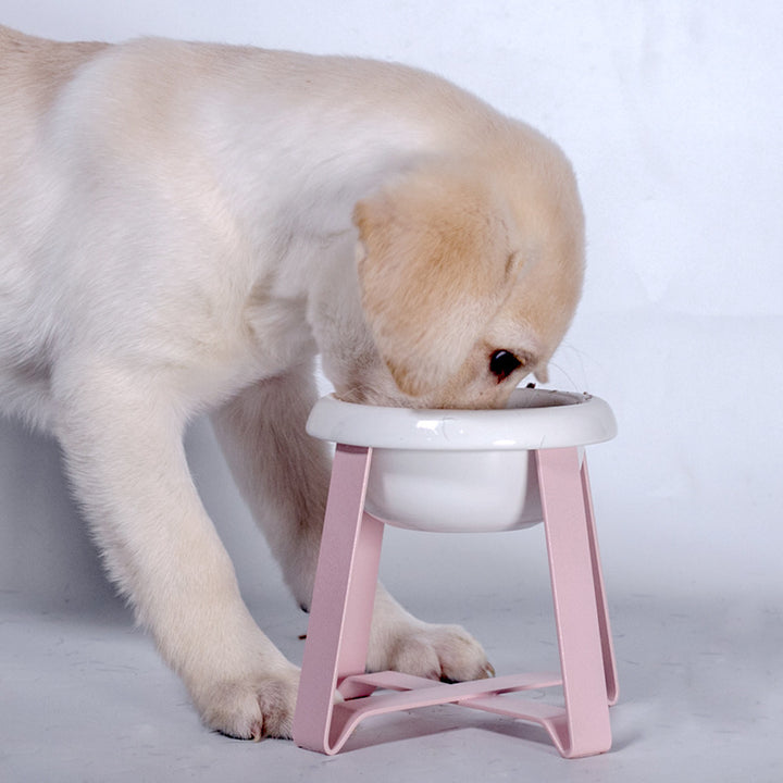 Creative Anti-Slip Pet Feeding Bowl With Stand