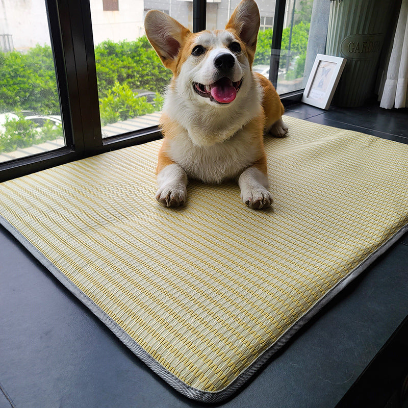 Pet Sleeping Mat Summer Anti-Bite Non-Stick Ice Mattress