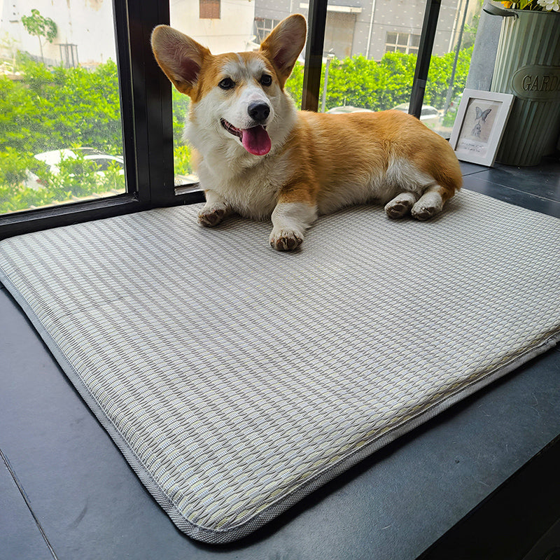 Pet Sleeping Mat Summer Anti-Bite Non-Stick Ice Mattress