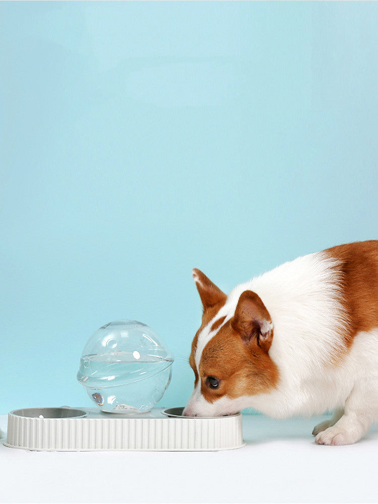 Automatic Plastic Pet Feeder Water Bowl Drinking Dispenser