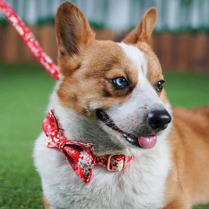 Red Floral Style Female Pet Pen Leash Set
