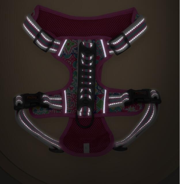 Small Medium Large Pet Leash Chest Harness