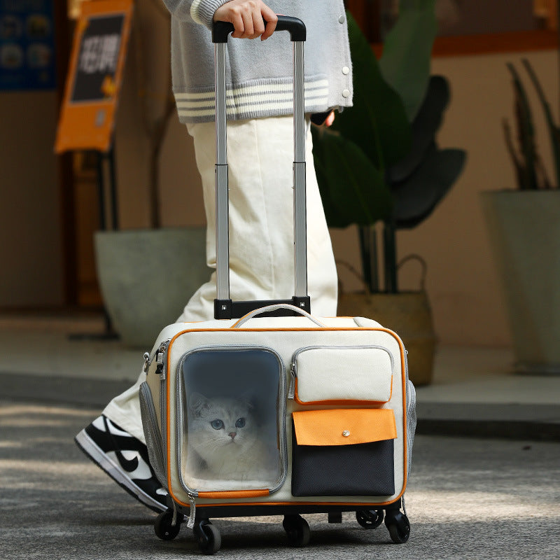 Anti-Stress Transparent Pet Trolley Backpack Bag