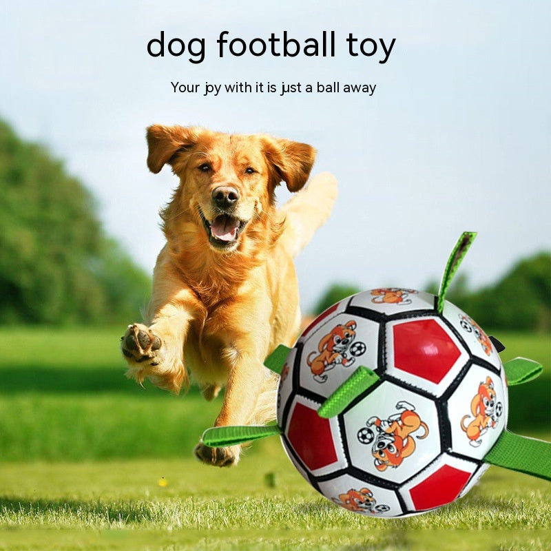 Bite-Resistant Dog Football Interactive Chew Toy