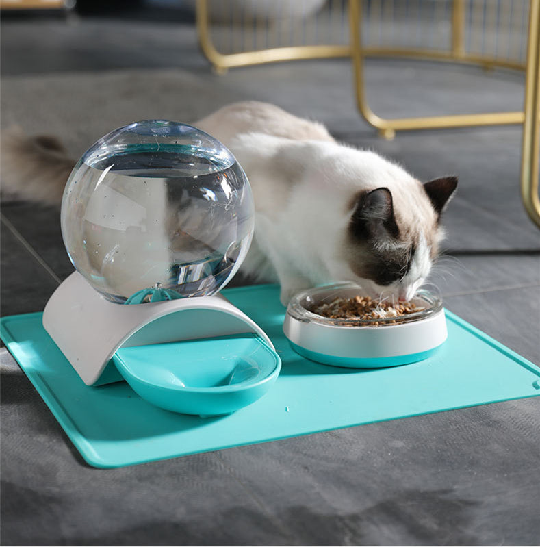 Dual Bowl Automatic Pet Food And Water Dispenser