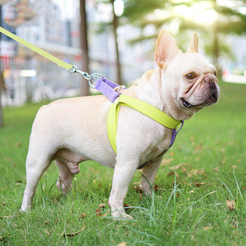 Pet Vest Style Drawstring Walking Leash Harness
