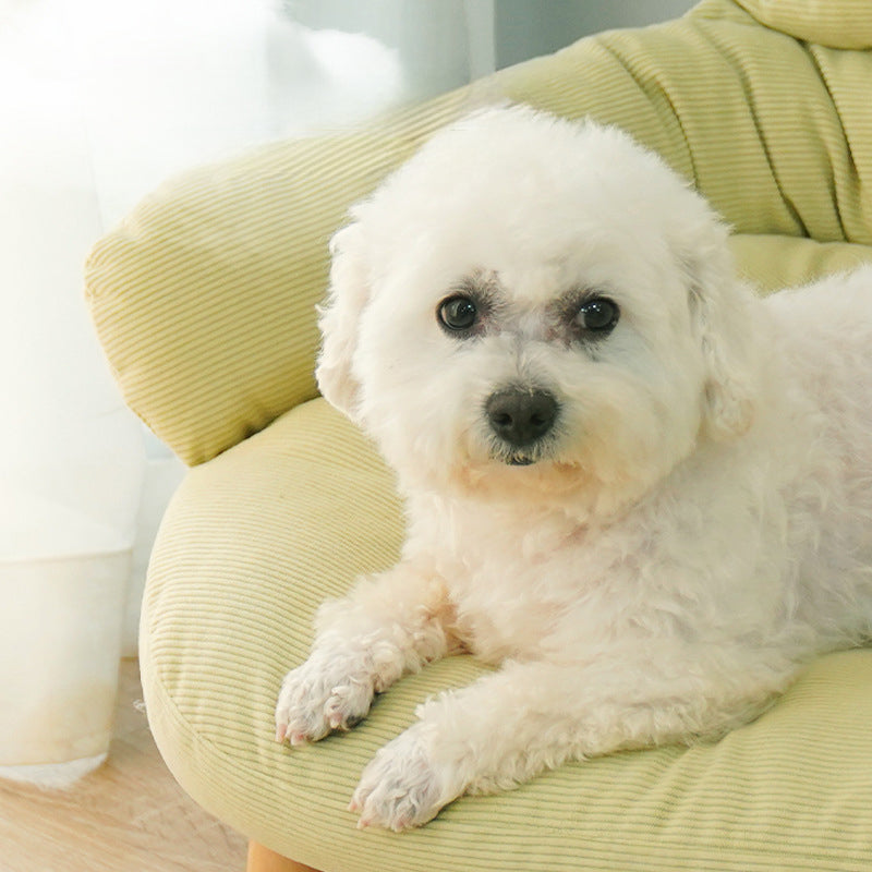All Season Elevated Pet Bed Solid Wood Thickened Frame
