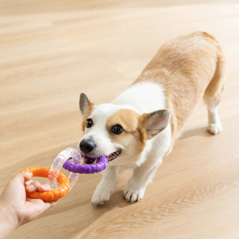 Floating Flying Disc Interactive Pet Chew Toy