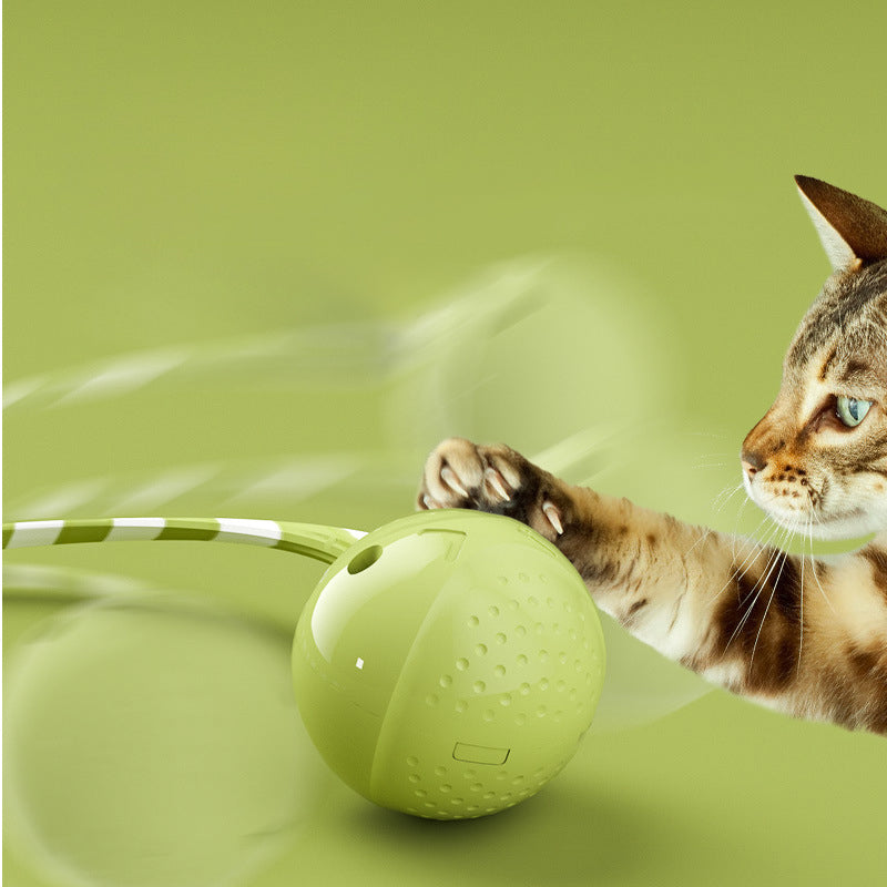 Interactive Electric Motion Sensor Pet Ball Toy