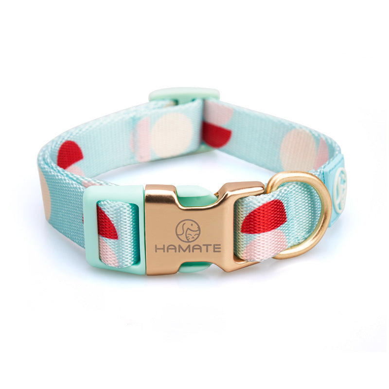 Fashion Y Shaped Chest Strap Pet Leash