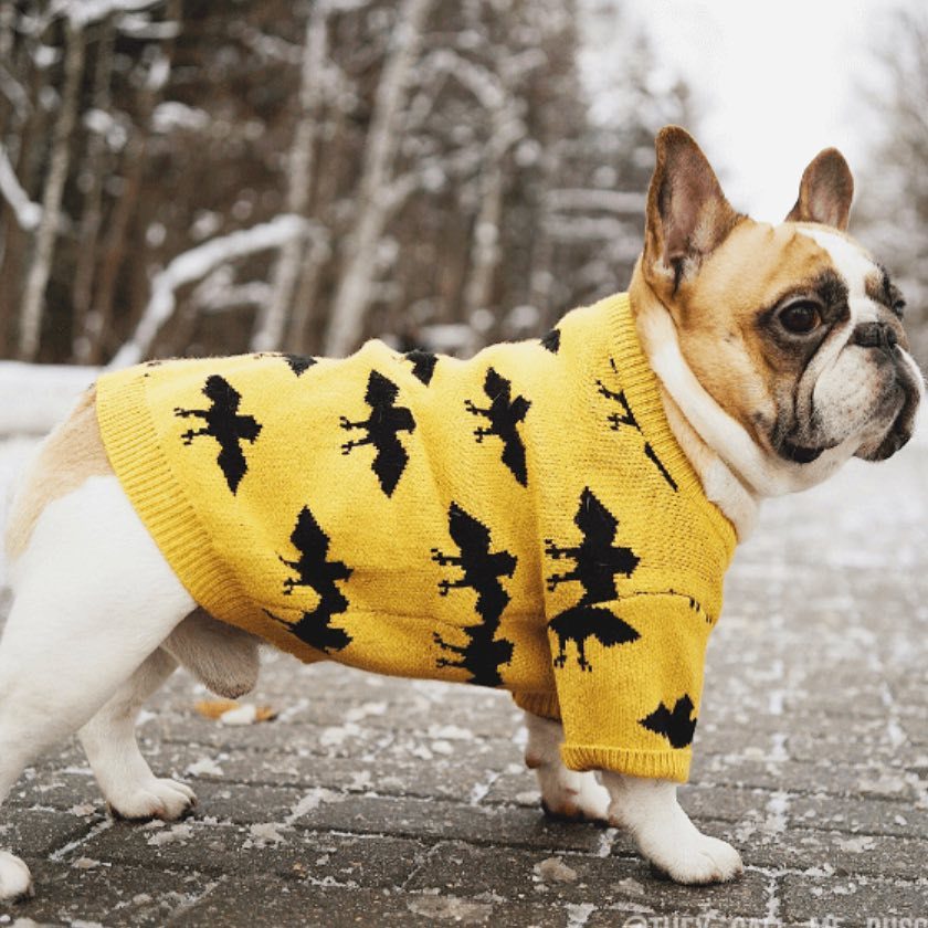 Warm Core Spun Yarn Pet Sweater Apparel