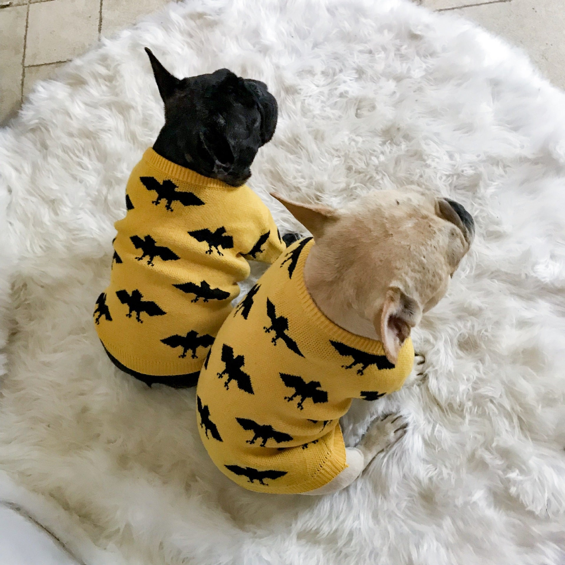 Warm Core Spun Yarn Pet Sweater Apparel
