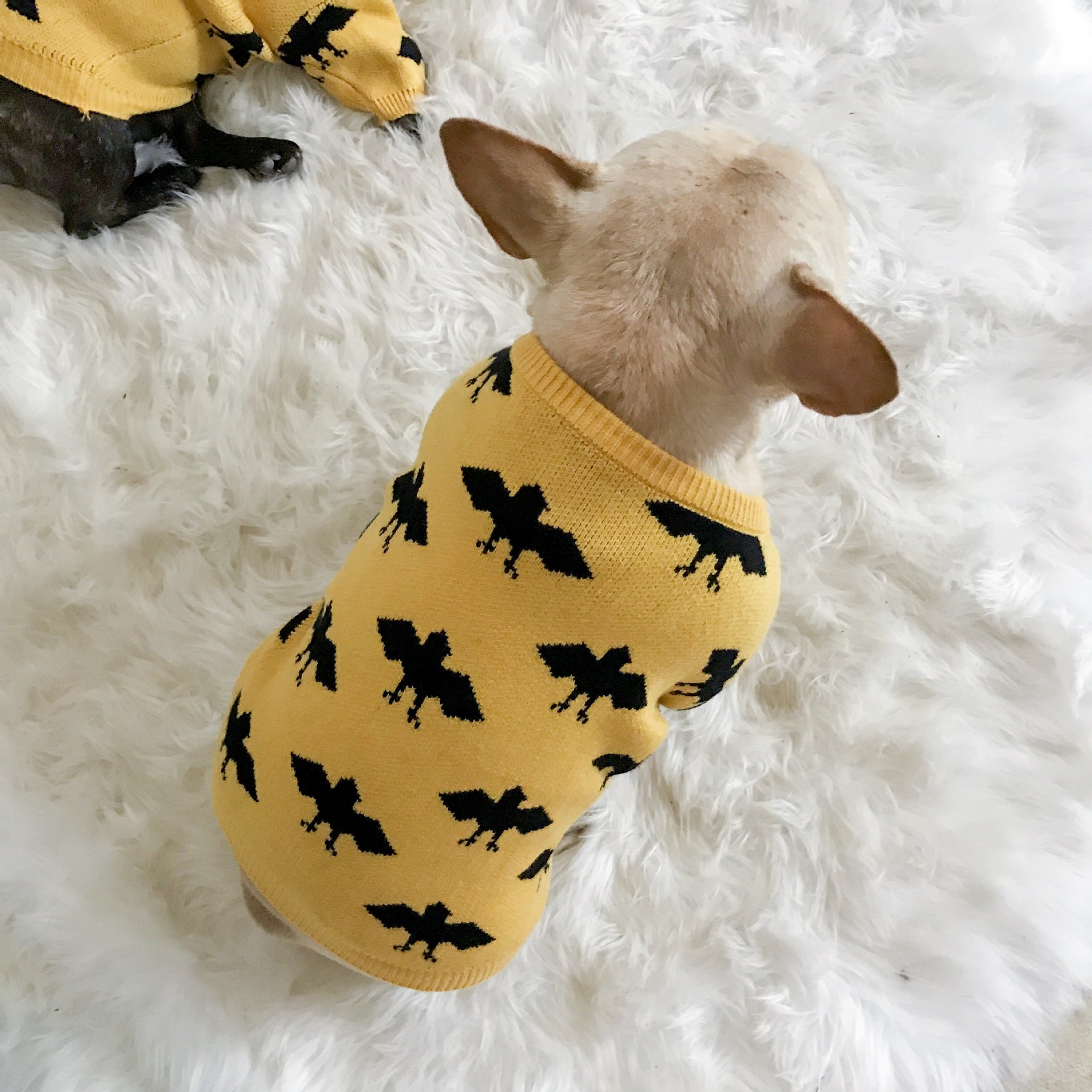 Warm Core Spun Yarn Pet Sweater Apparel