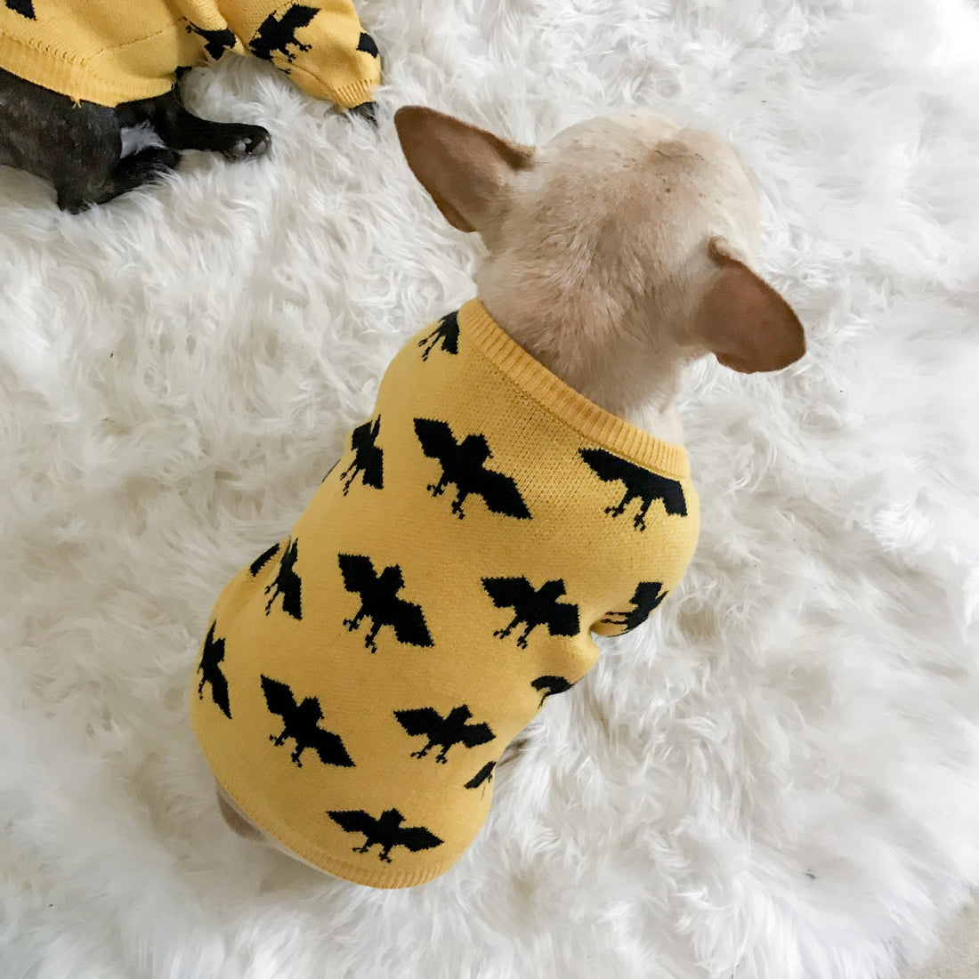 Warm Core Spun Yarn Pet Sweater Apparel