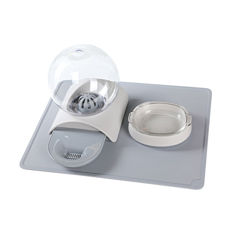 Dual Bowl Automatic Pet Food And Water Dispenser