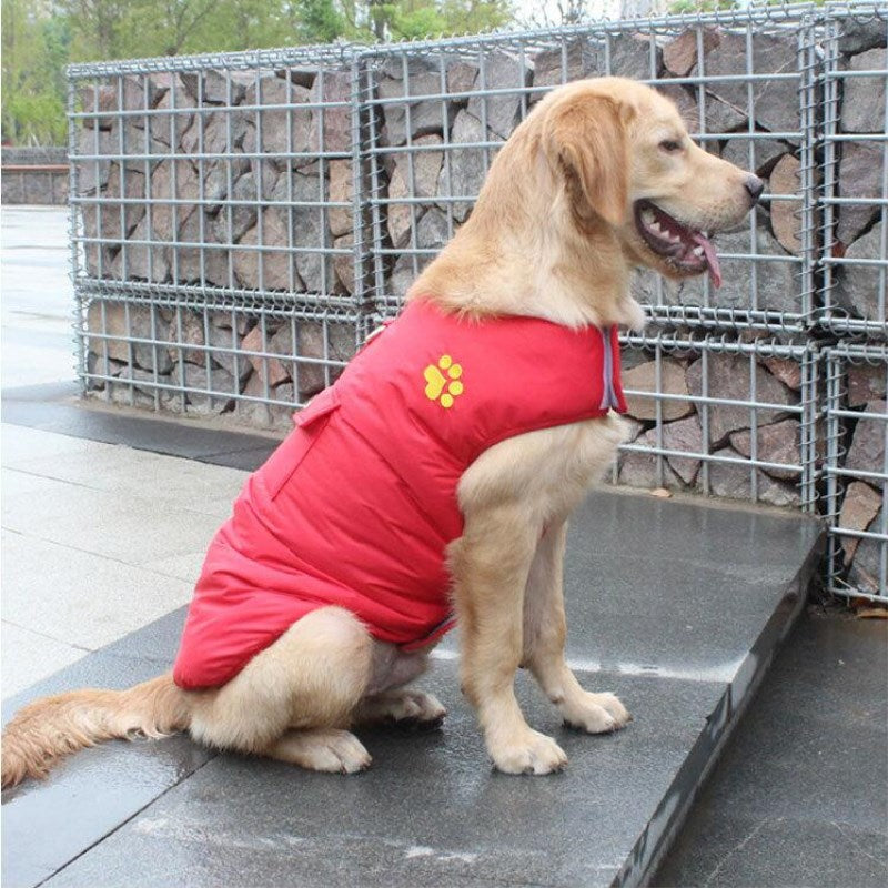 Winter Cotton Coat Warm Pet Apparel Jacket