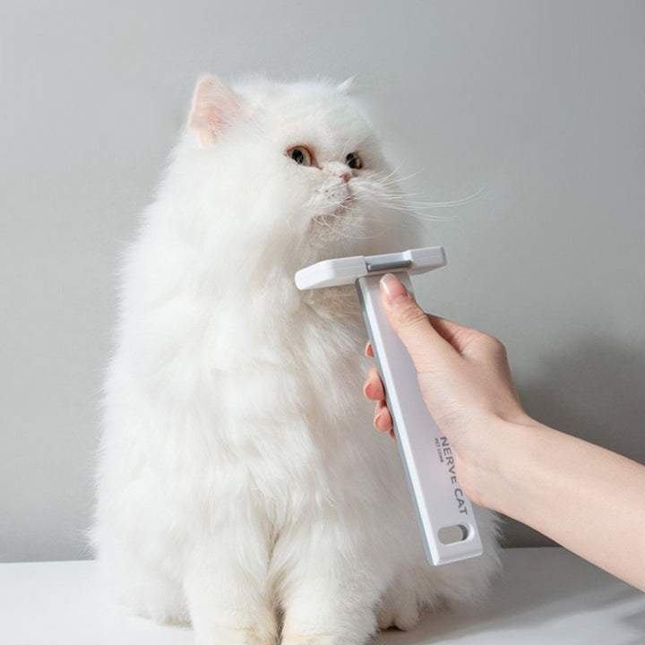 Pet Floating Hair Removal Grooming Tool