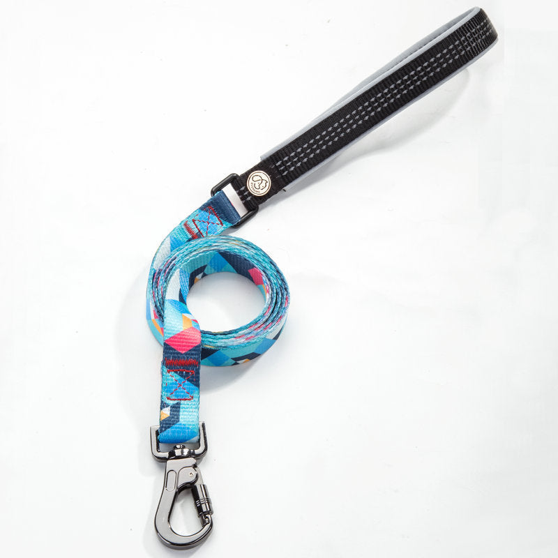 Pet Walking Leash Durable Everyday Control Lead