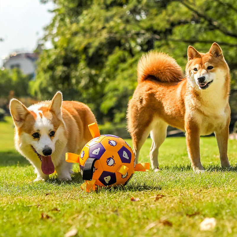 Interactive Football Pet Outdoor Chew Toy Durable Long Lasting