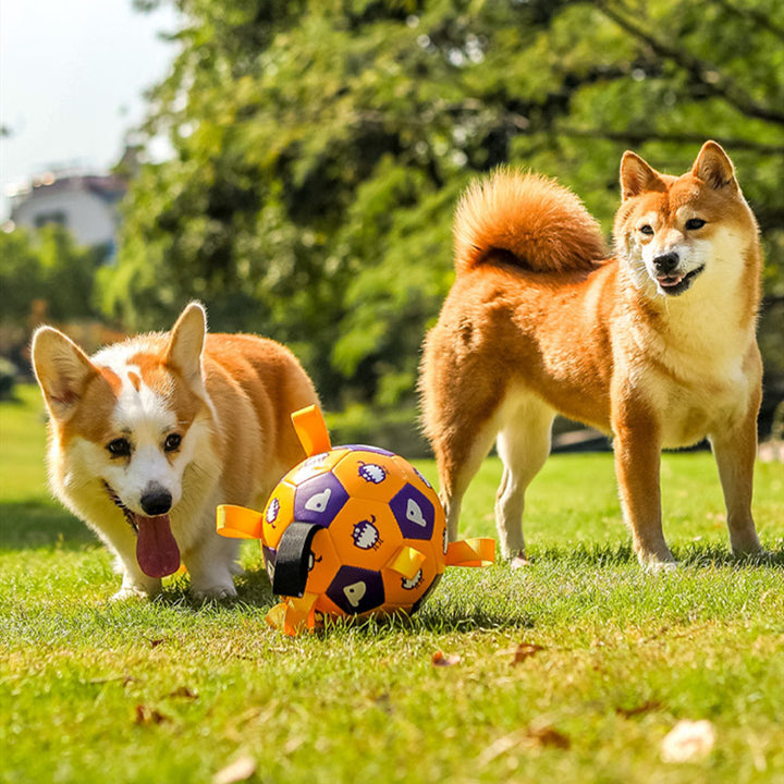 Interactive Football Pet Outdoor Chew Toy Durable Long Lasting