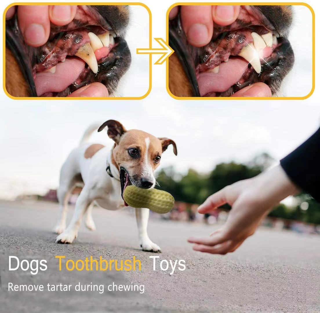 Squeaky Rubber Chew Toy For Small Pets