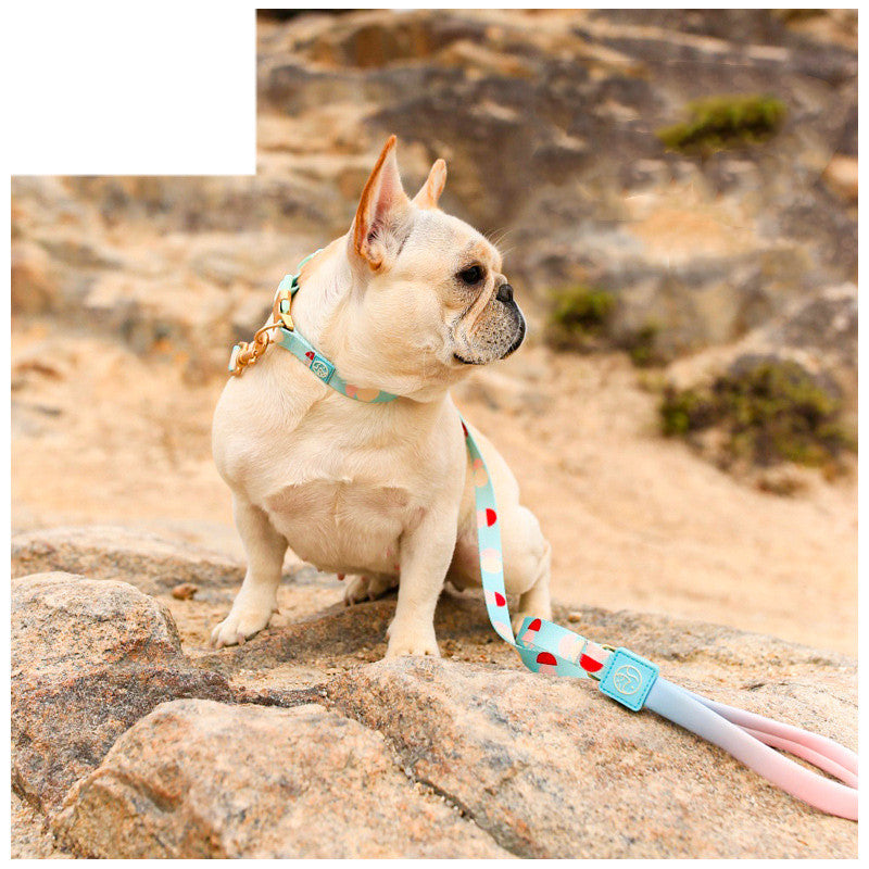 Fashion Y Shaped Chest Strap Pet Leash