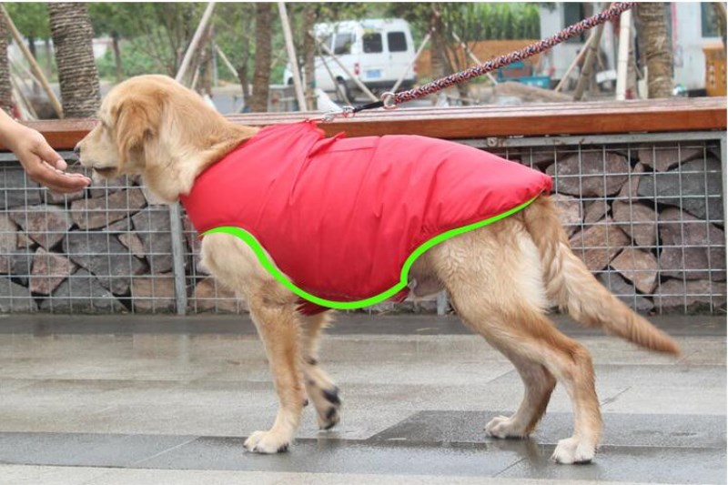 Winter Cotton Coat Warm Pet Apparel Jacket