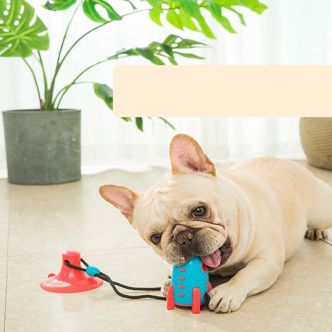Durable Rocket Treat Dispensing Pet Chew Toy
