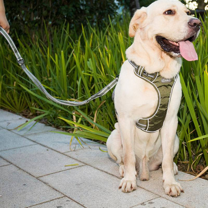 Fluorescent Explosion Proof Elastic Retractable Pet Leash